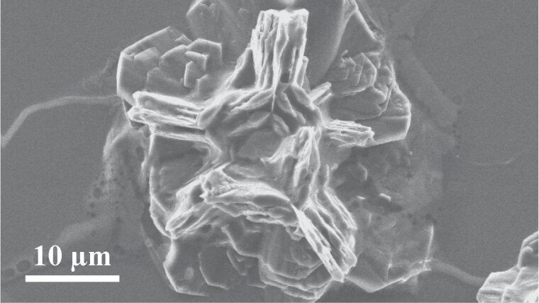 SEM image of large three-dimensional zabuyelite aggregates