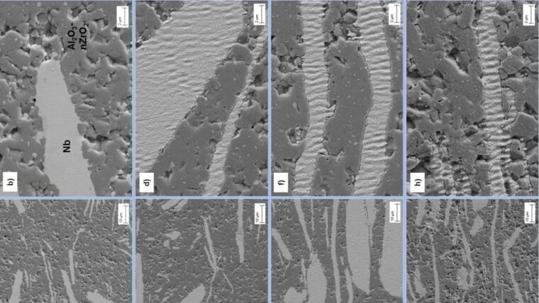 SEM micrographs of a composite surface