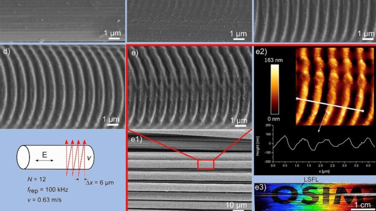 Fabrication of LSFL on carbon fibers by unidirectional scanning