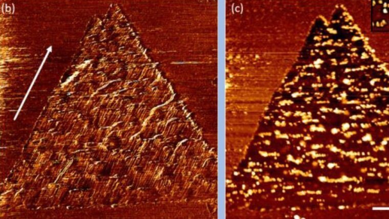 AFM images of Au clusters deposited and manipulated on a MoS₂ islands on SiO₂